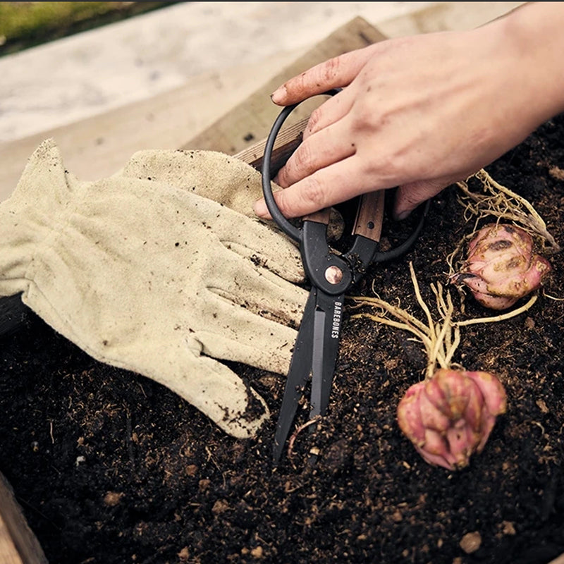 Walnut Garden Scissors