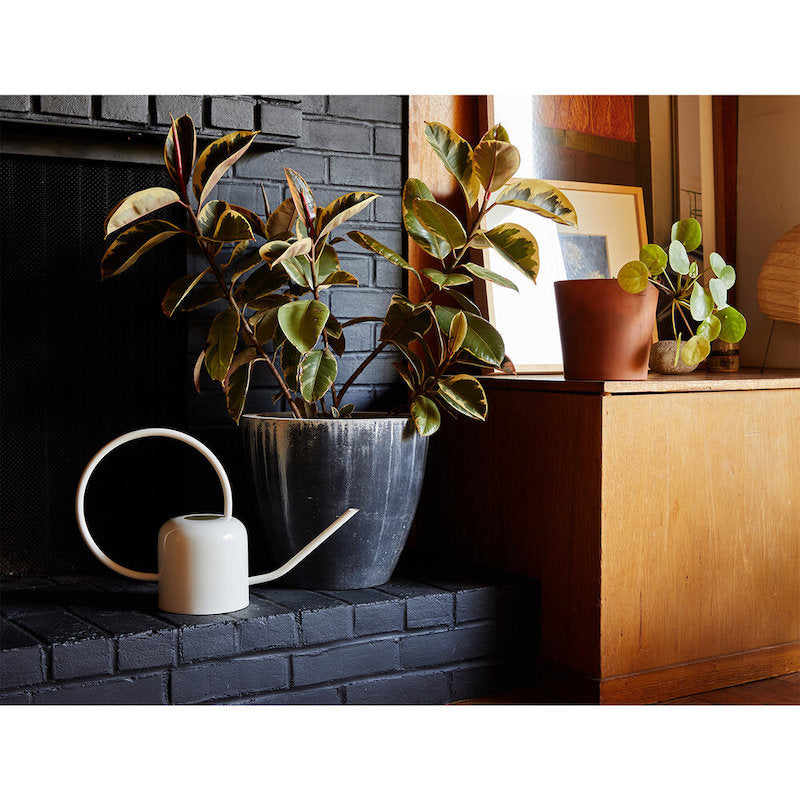 White Watering Can