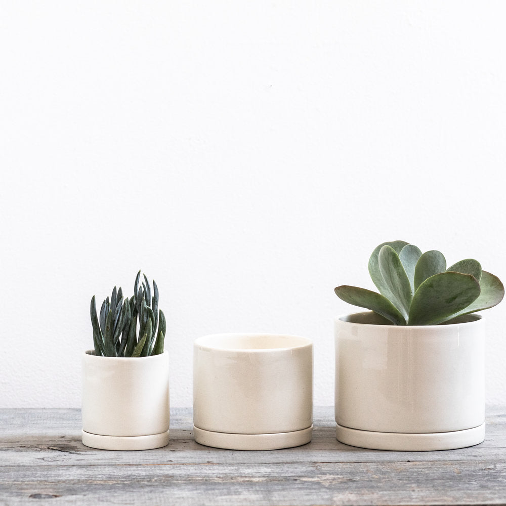 succulent round pot White Round Planter