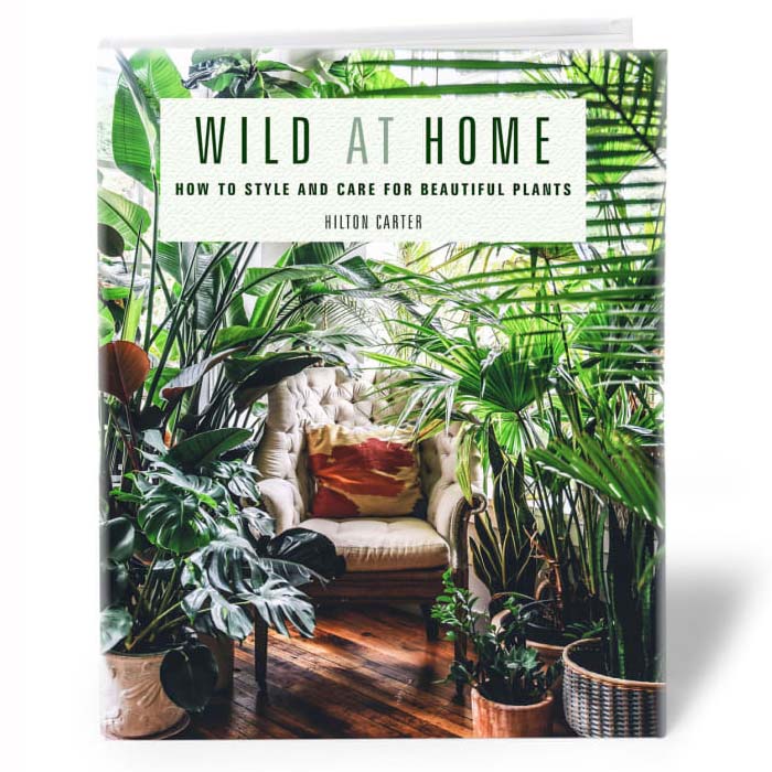 Wild at Home