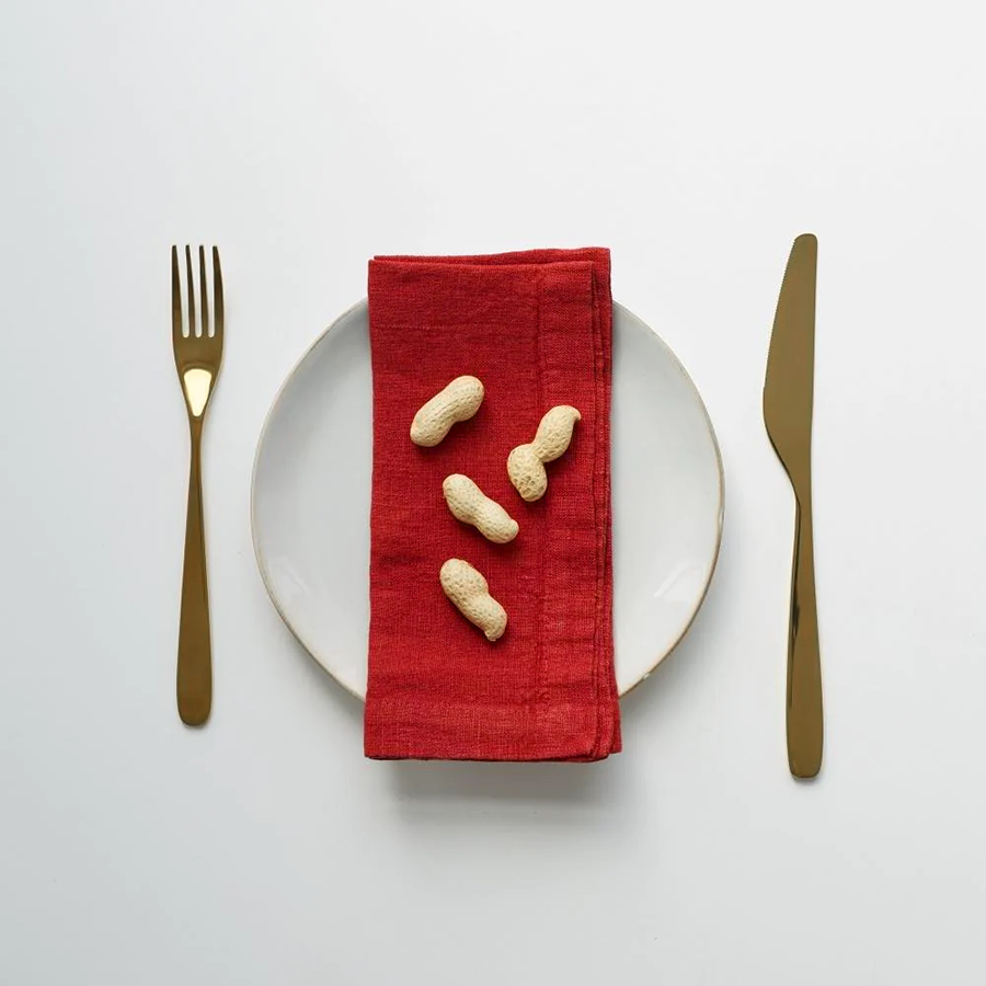 Linen Napkins - Set/2 - Red Tomato