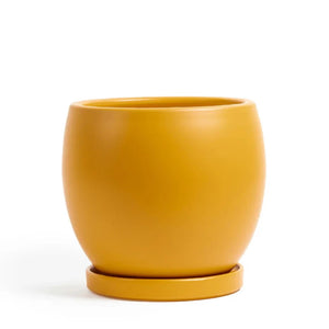 10" Round Bollé Pot