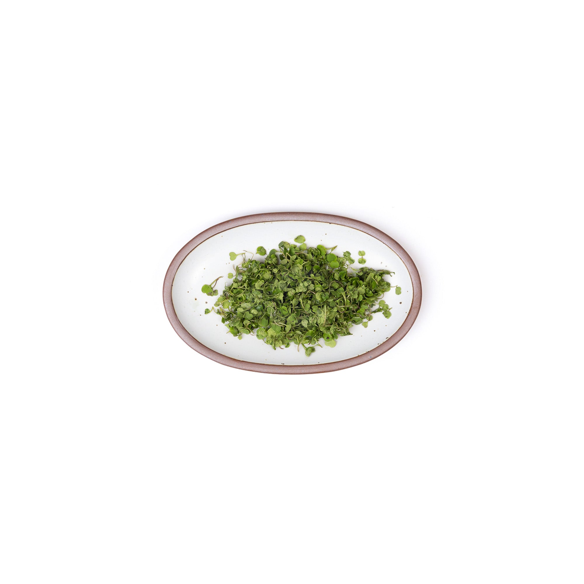 East Fork Small Oval Platter  - Eggshell