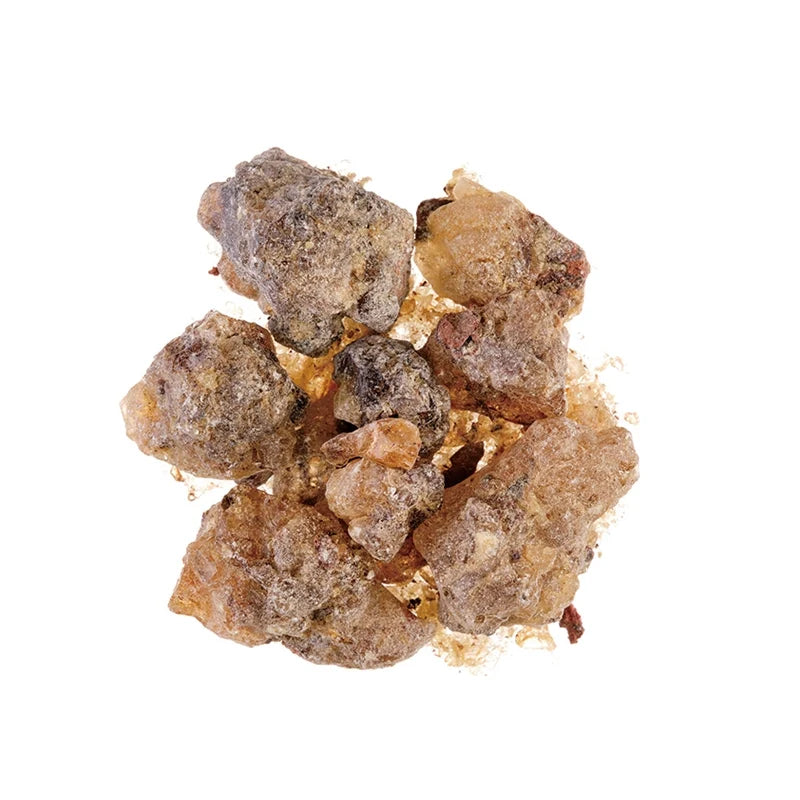 Chie Incense - Copal