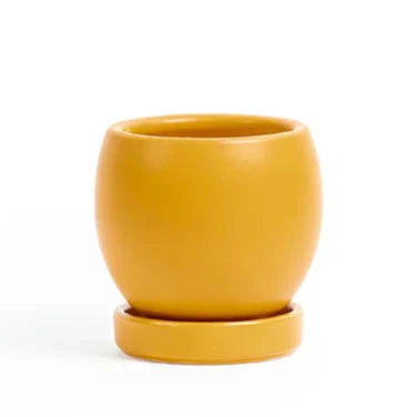 4.25" Round Bollé Pot