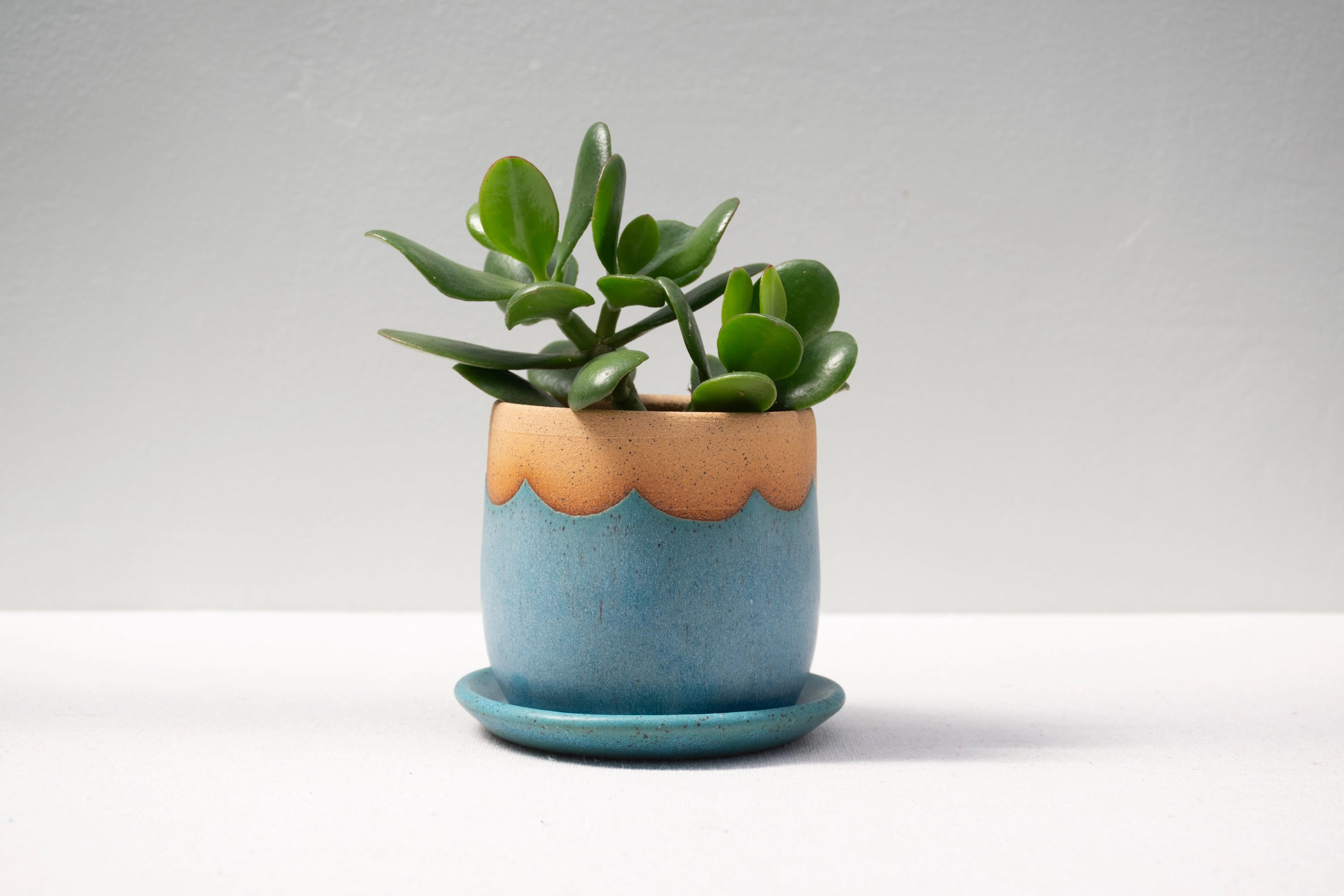 Turquoise Wave Planter