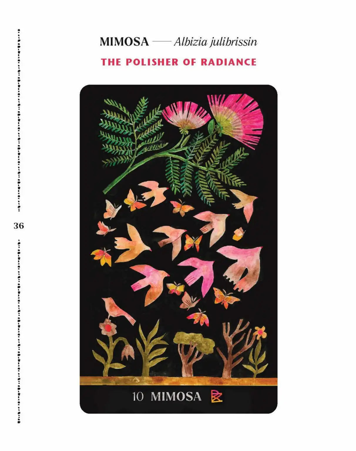 Dirt Gems - Plant Ally Deck + Book