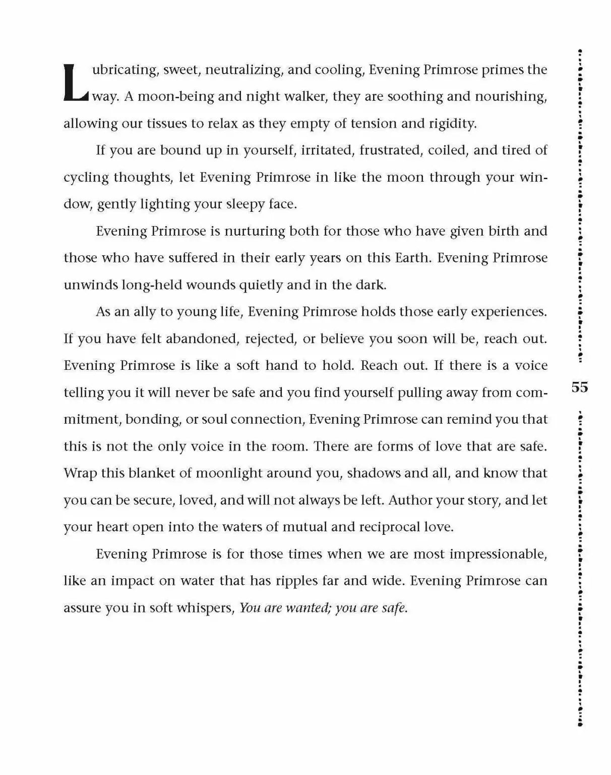 Dirt Gems - Plant Ally Deck + Book