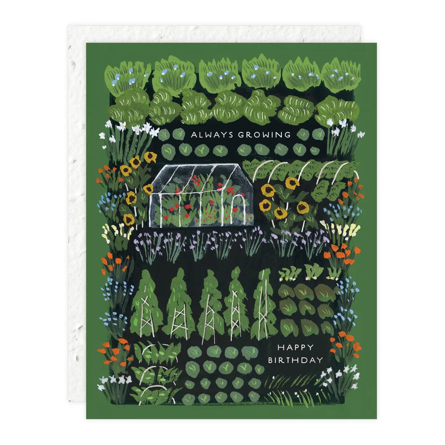 Always Growing Birthday Card