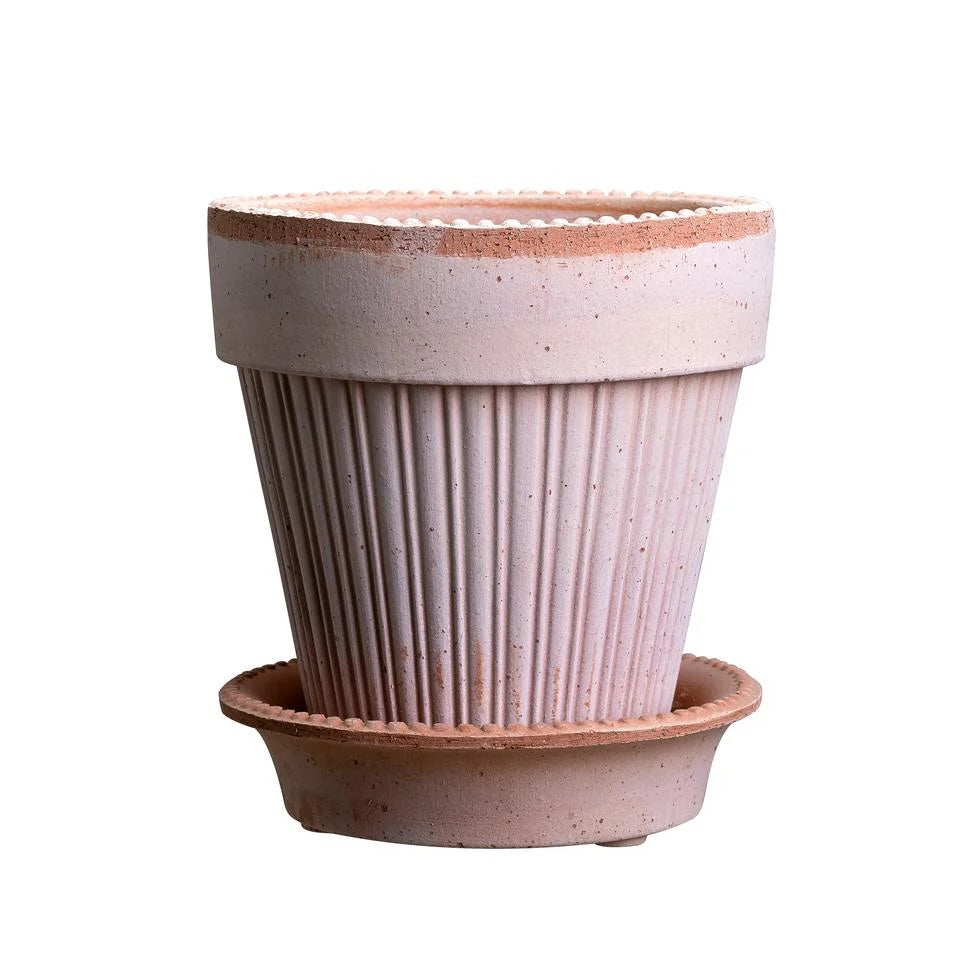 Simona 5.5" Dotted Rim Pot - Rosa
