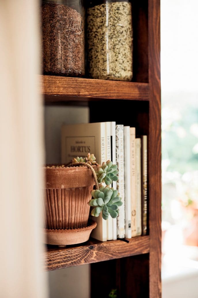 Simona 4.7" Dotted Rim Pot - Rosa