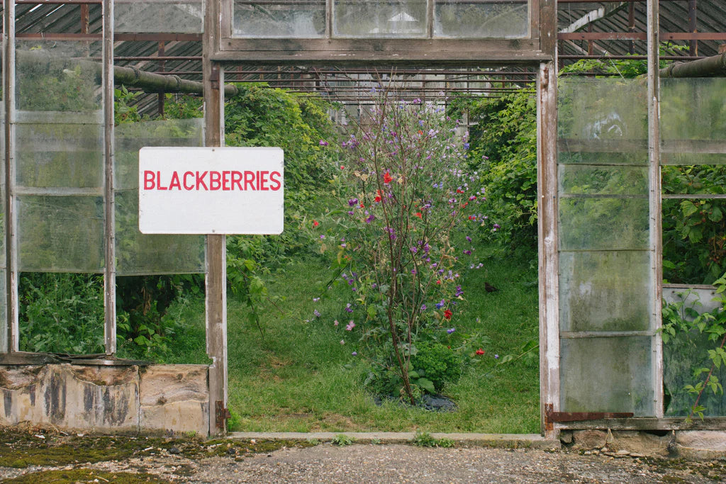 Blackberry & Bay Leaf Jam - KESTREL