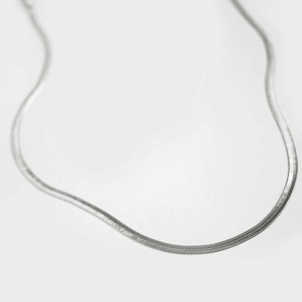 Clyde Silver Herringbone Necklace