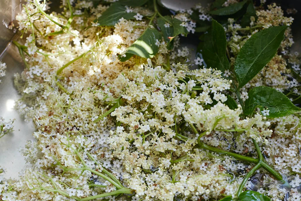 Apricot & Elderflower Jam