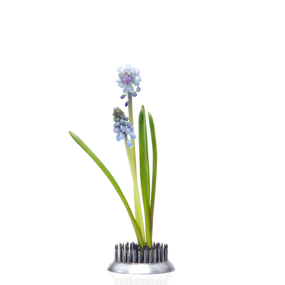 Kenzan Flower Frog - Medium