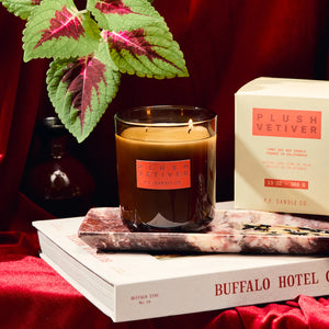 Hi-Fi Candle - Plush Vetiver