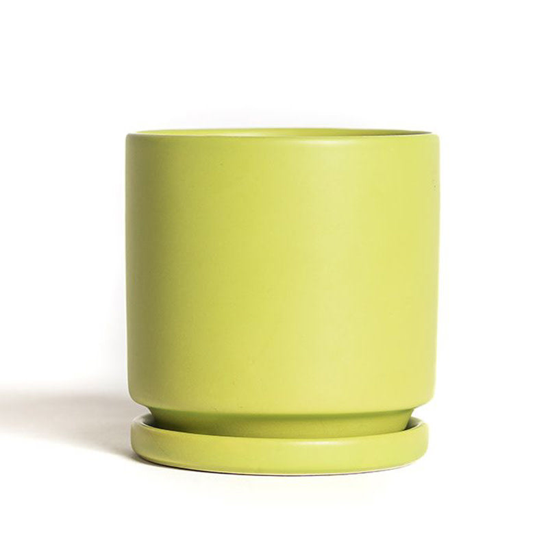 4.5" Jewel Pot w/ Tray