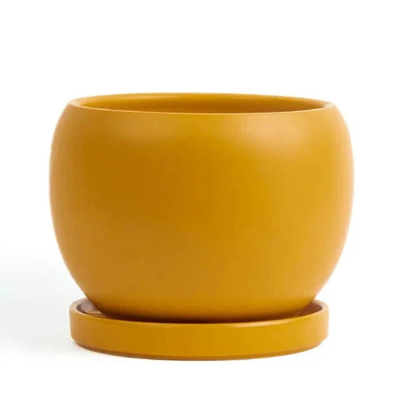 6" Round Bollé Pot