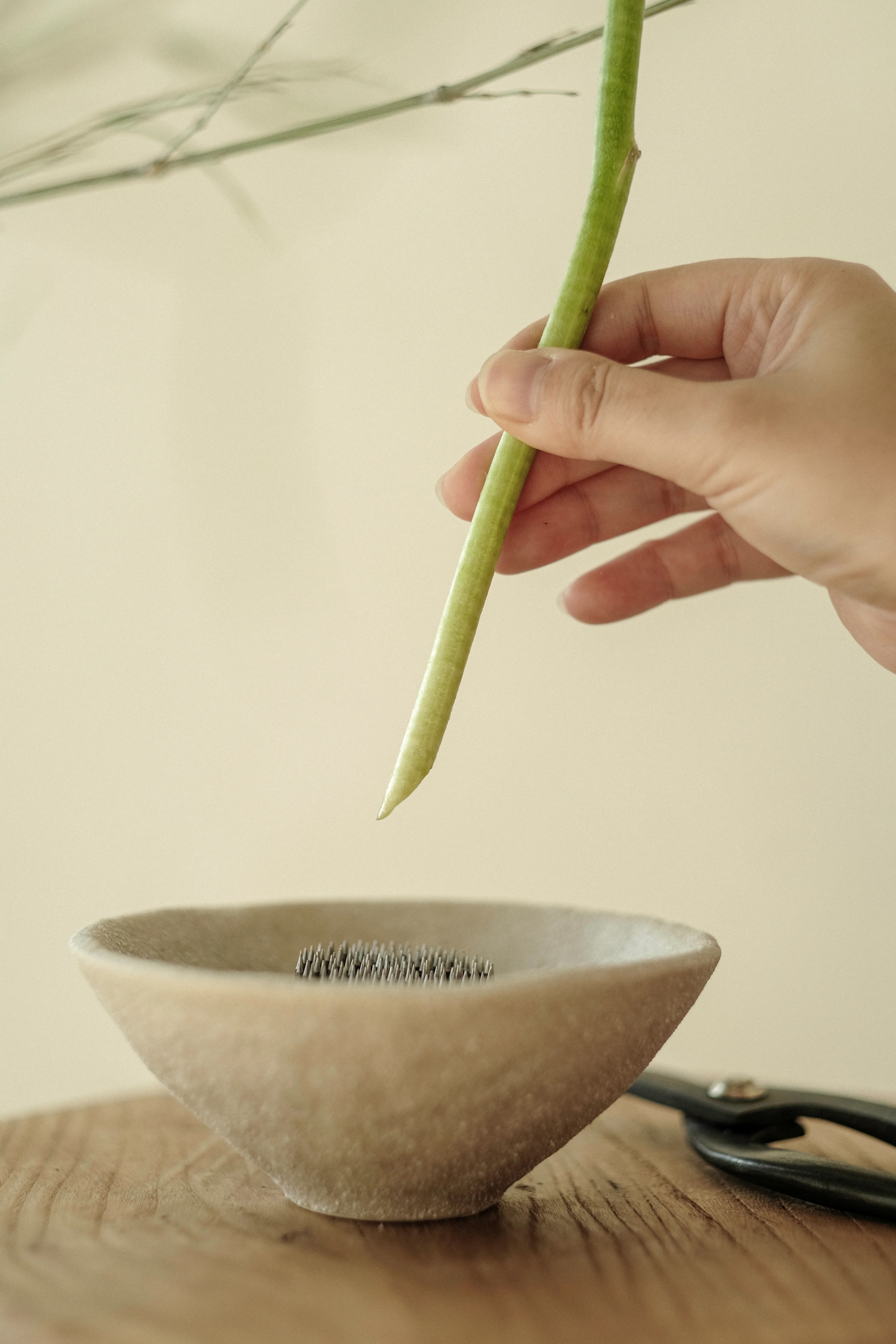 Ikebana Flower Arrangement Kit