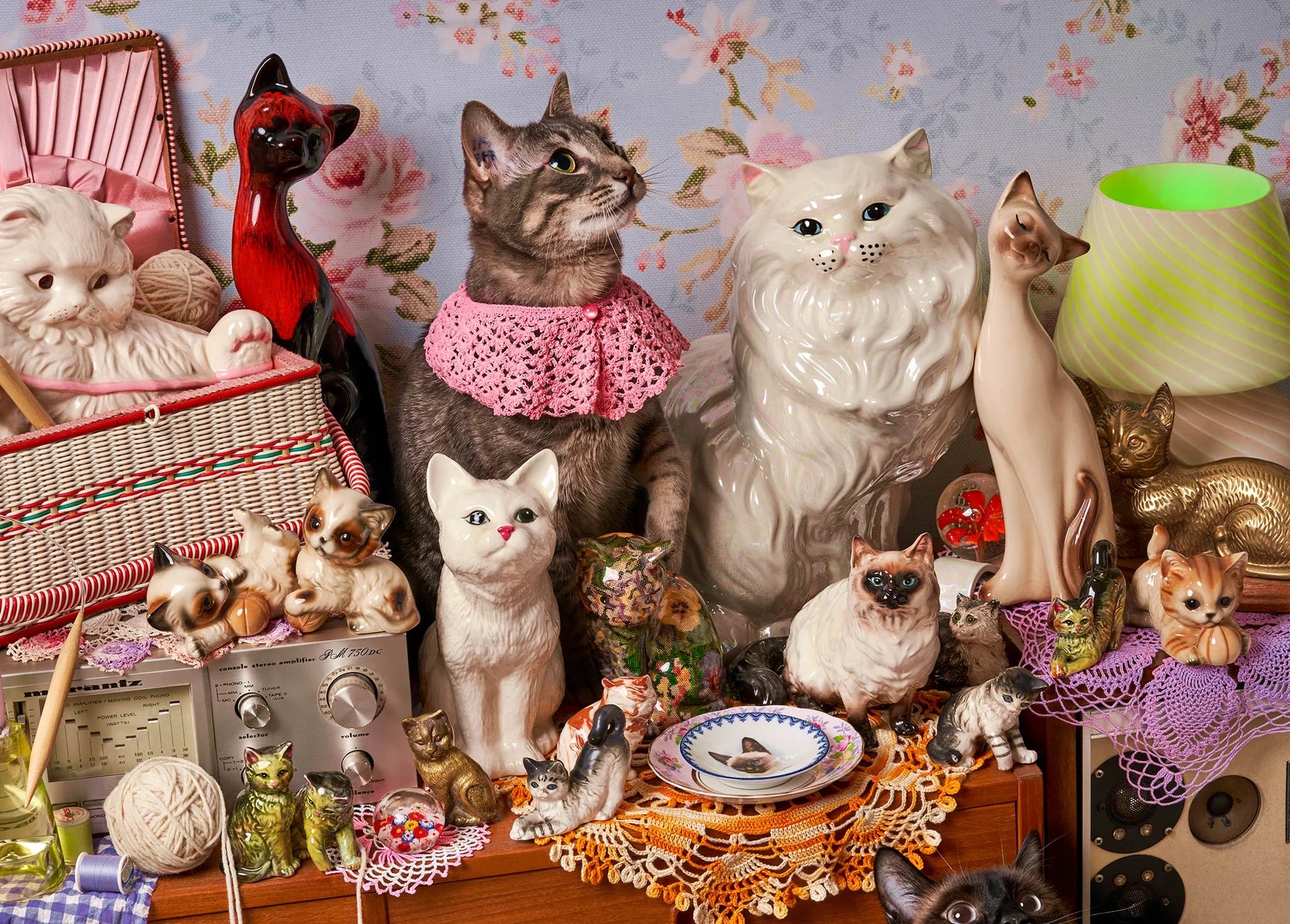 Cat Person Puzzle