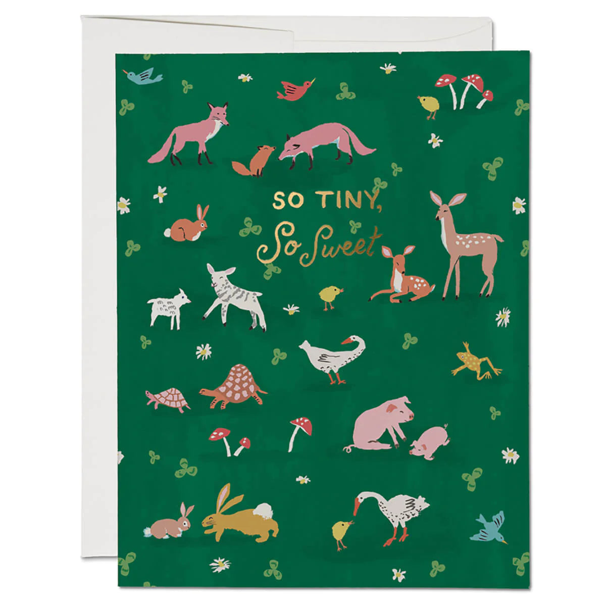 So Tiny, So Sweet Baby Greeting Card