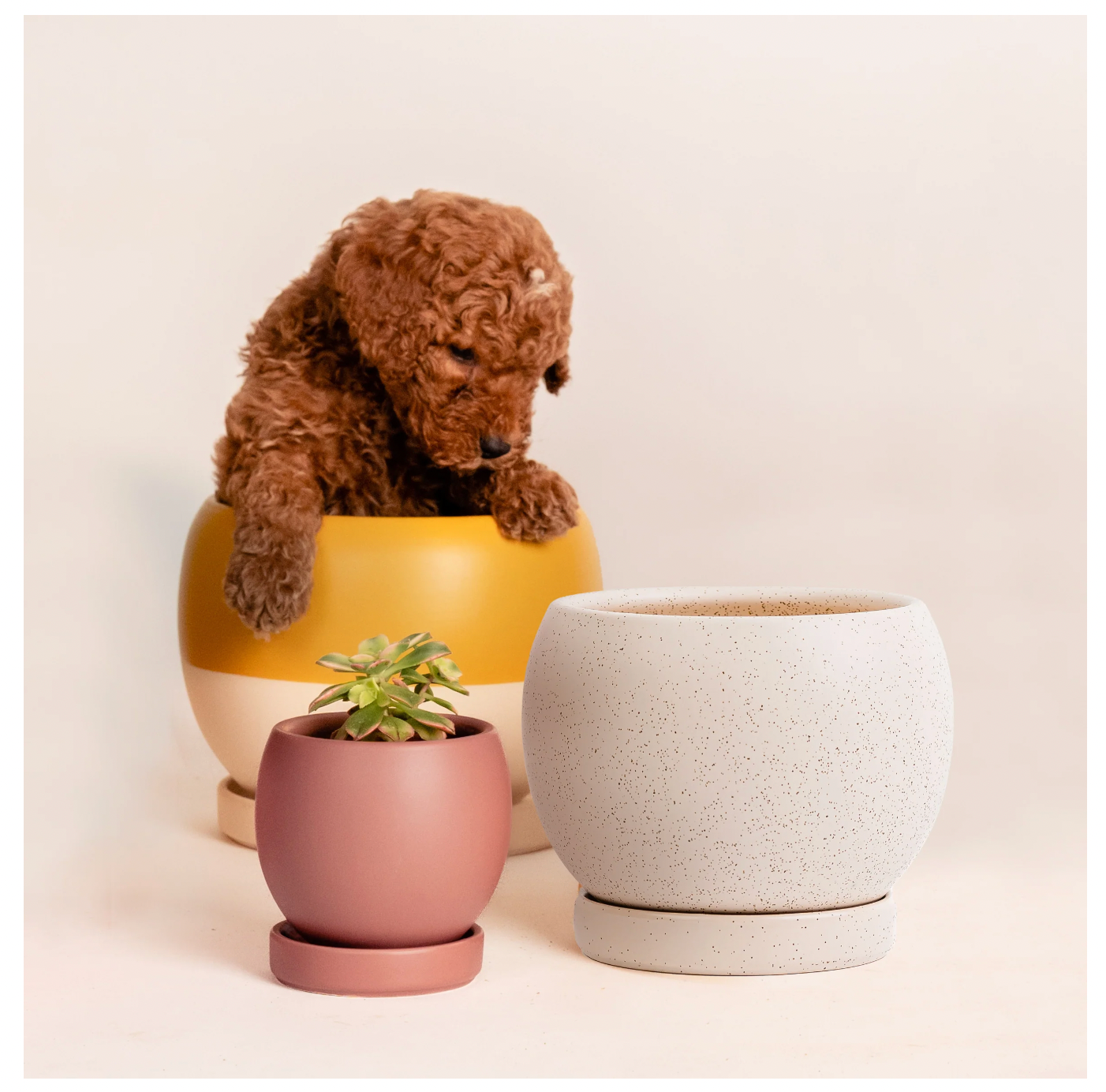 10" Round Bollé Pot