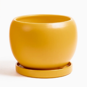 8" Round Bollé Pot