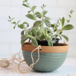 Small Grooved Hanging Planter - Lagoon