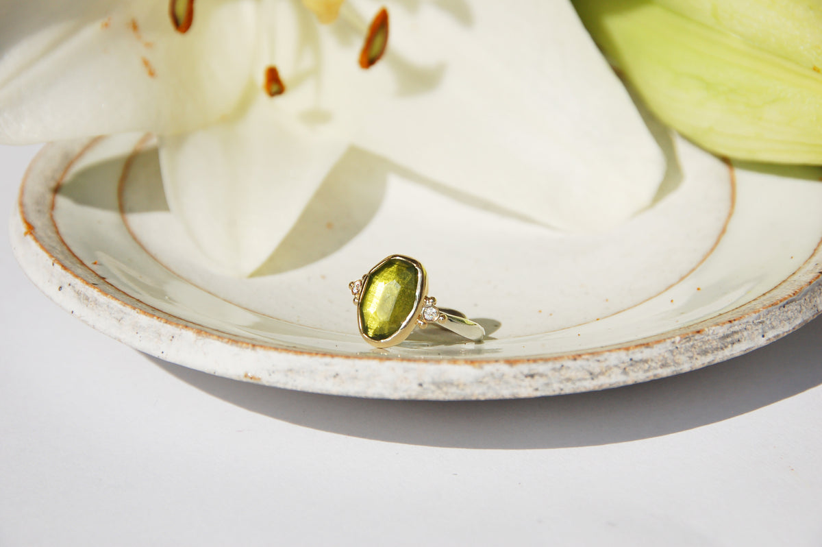 Talia Vessonite Ring with Diamonds