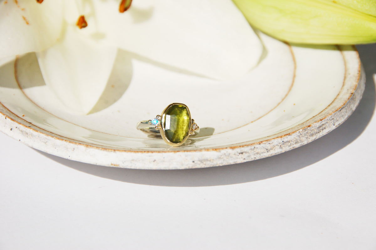 Talia Vessonite Ring with Diamonds