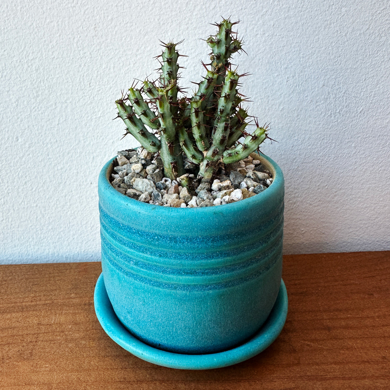 Small Turquoise Ridge Planter