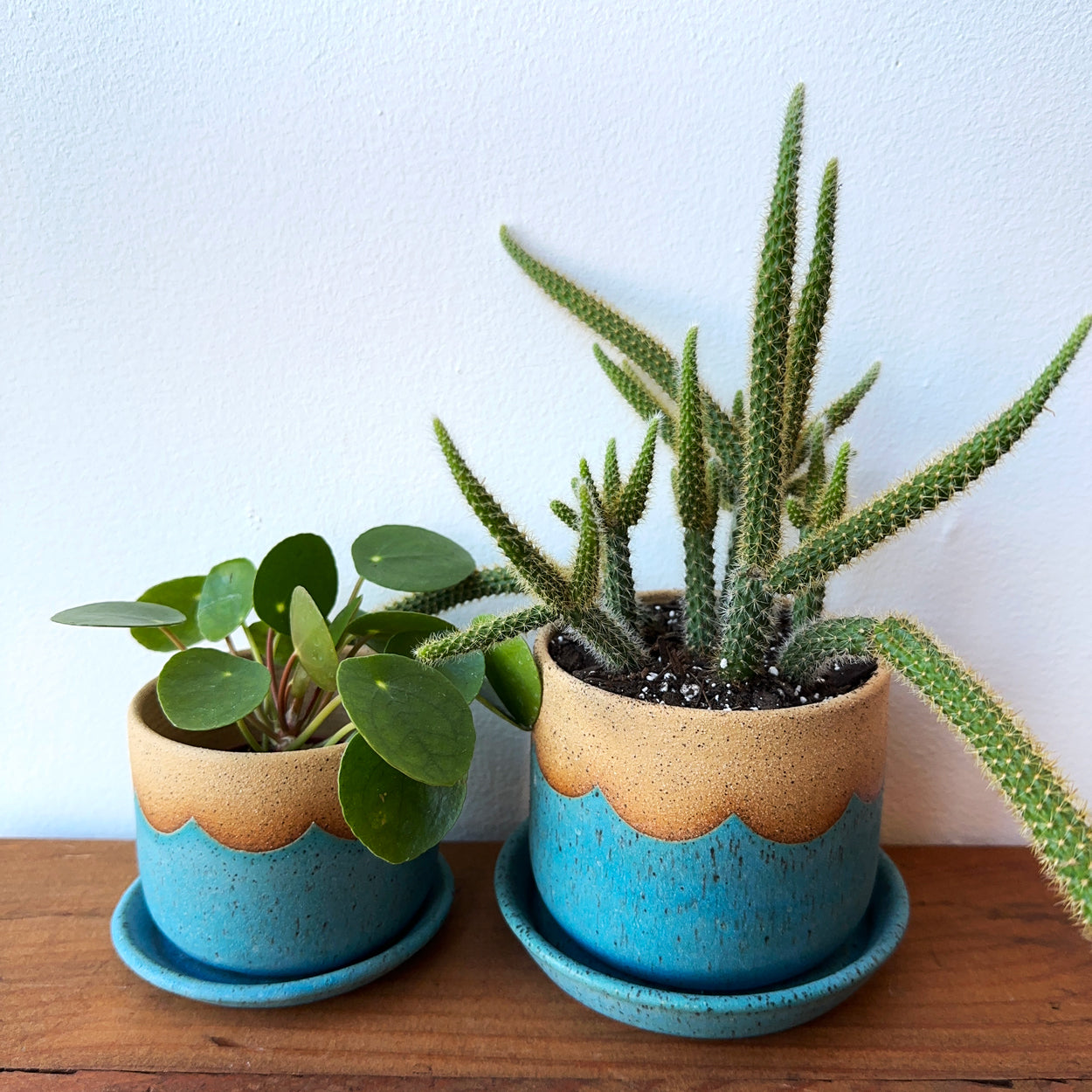 Turquoise Wave Planter