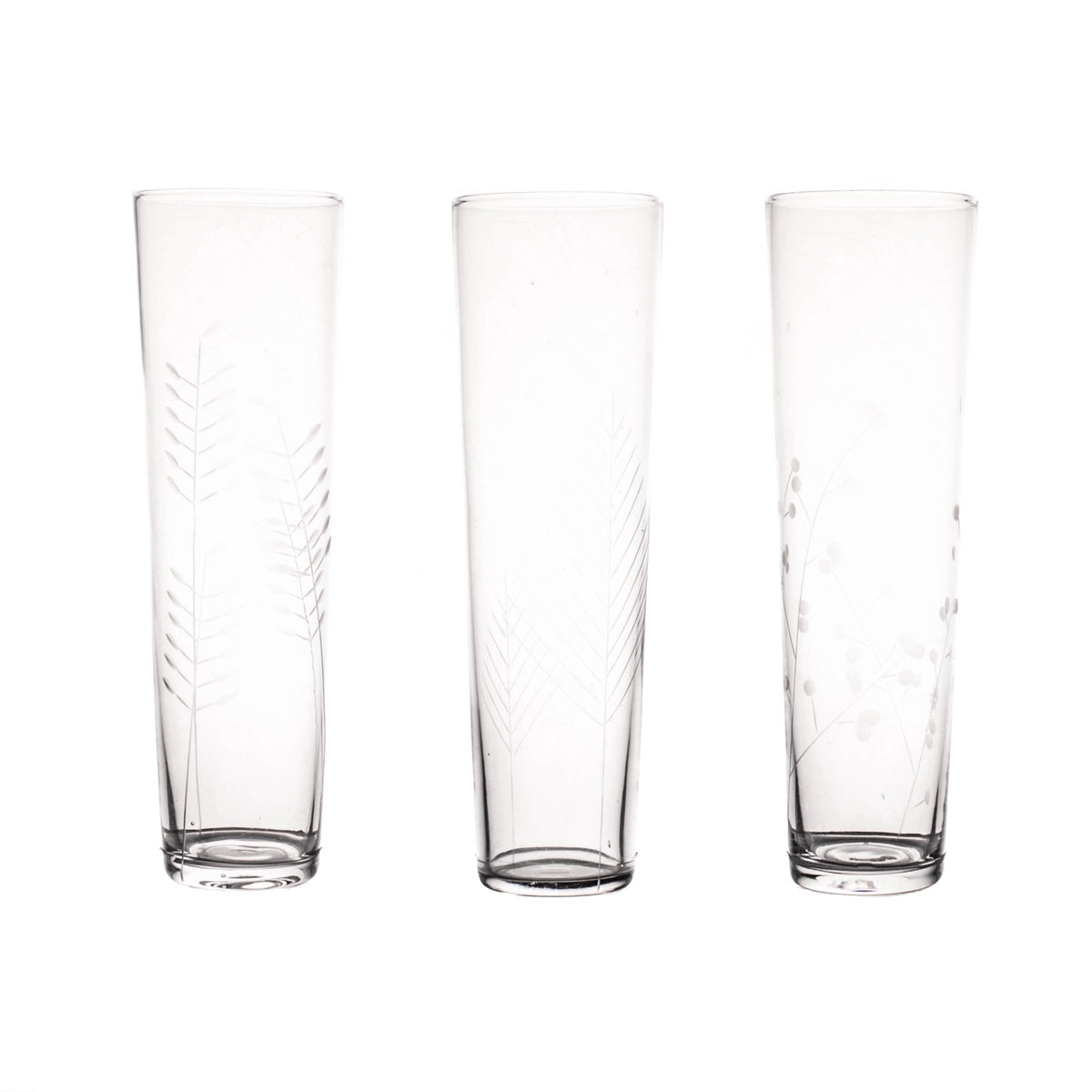 Etched Botanical Glass - Champagne