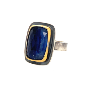 Tri-Colored Blue Kyanite Portrait Ring (SS/24k)