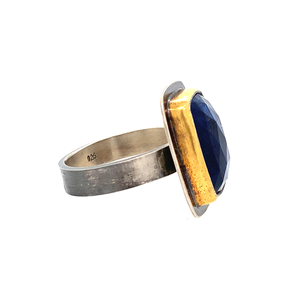 Tri-Colored Blue Kyanite Portrait Ring (SS/24k)