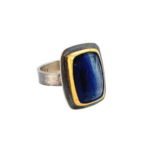 Tri-Colored Blue Kyanite Portrait Ring (SS/24k)