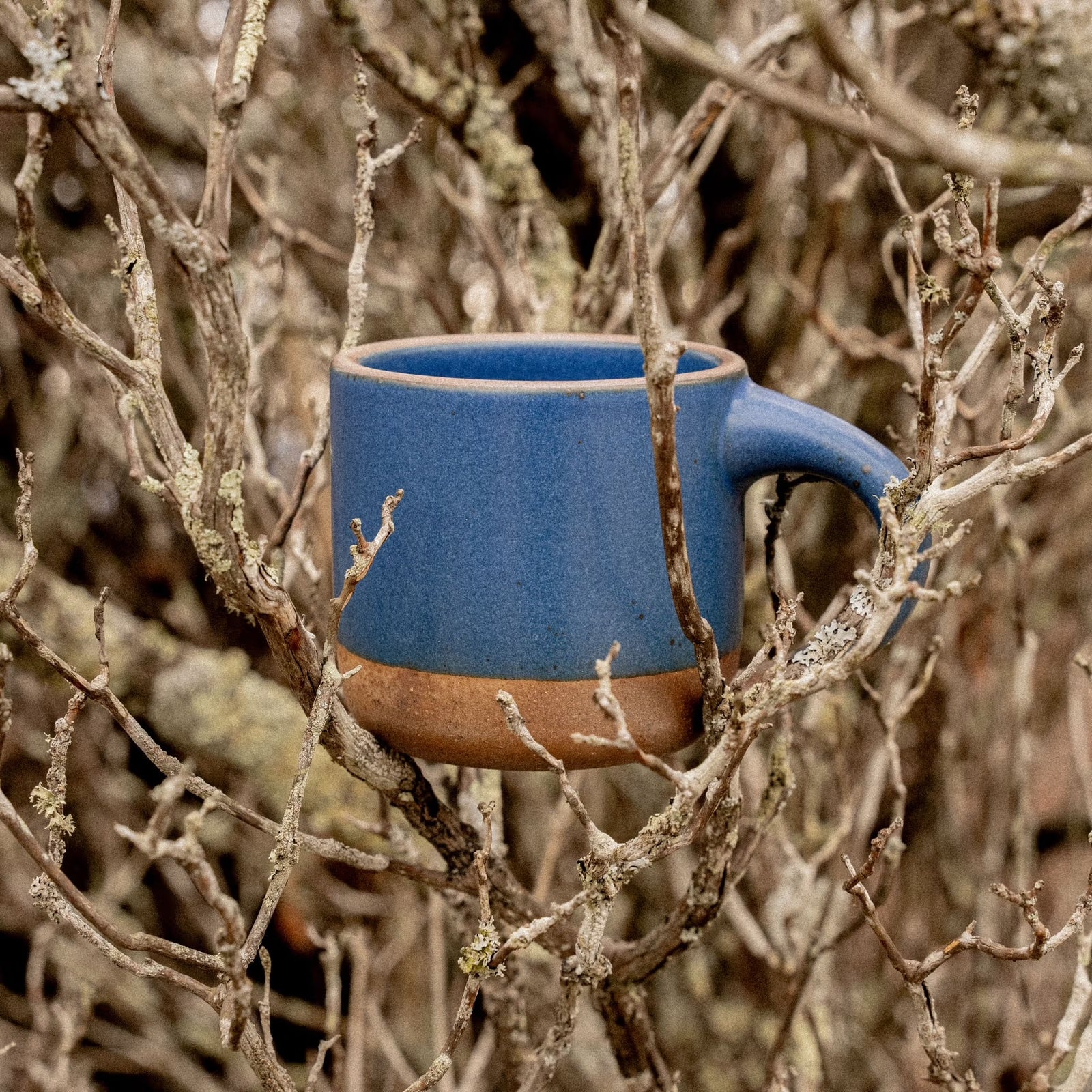 Small East Fork Mug - Blue Ridge