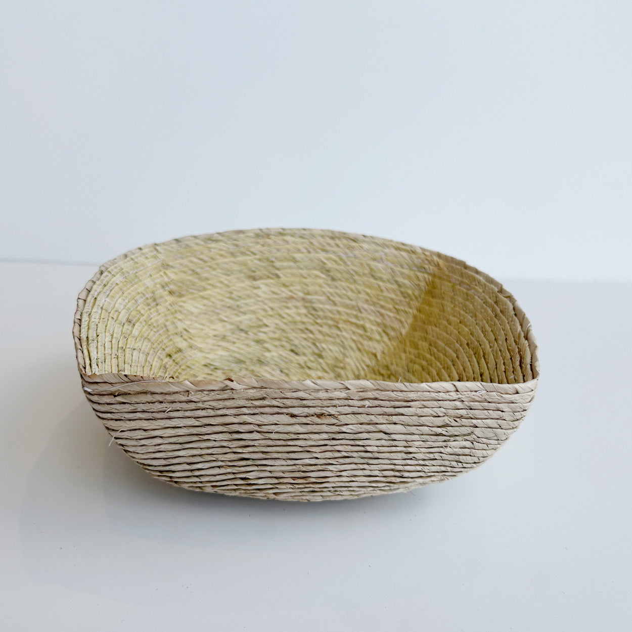 Small Palm Catchall Basket - Arena