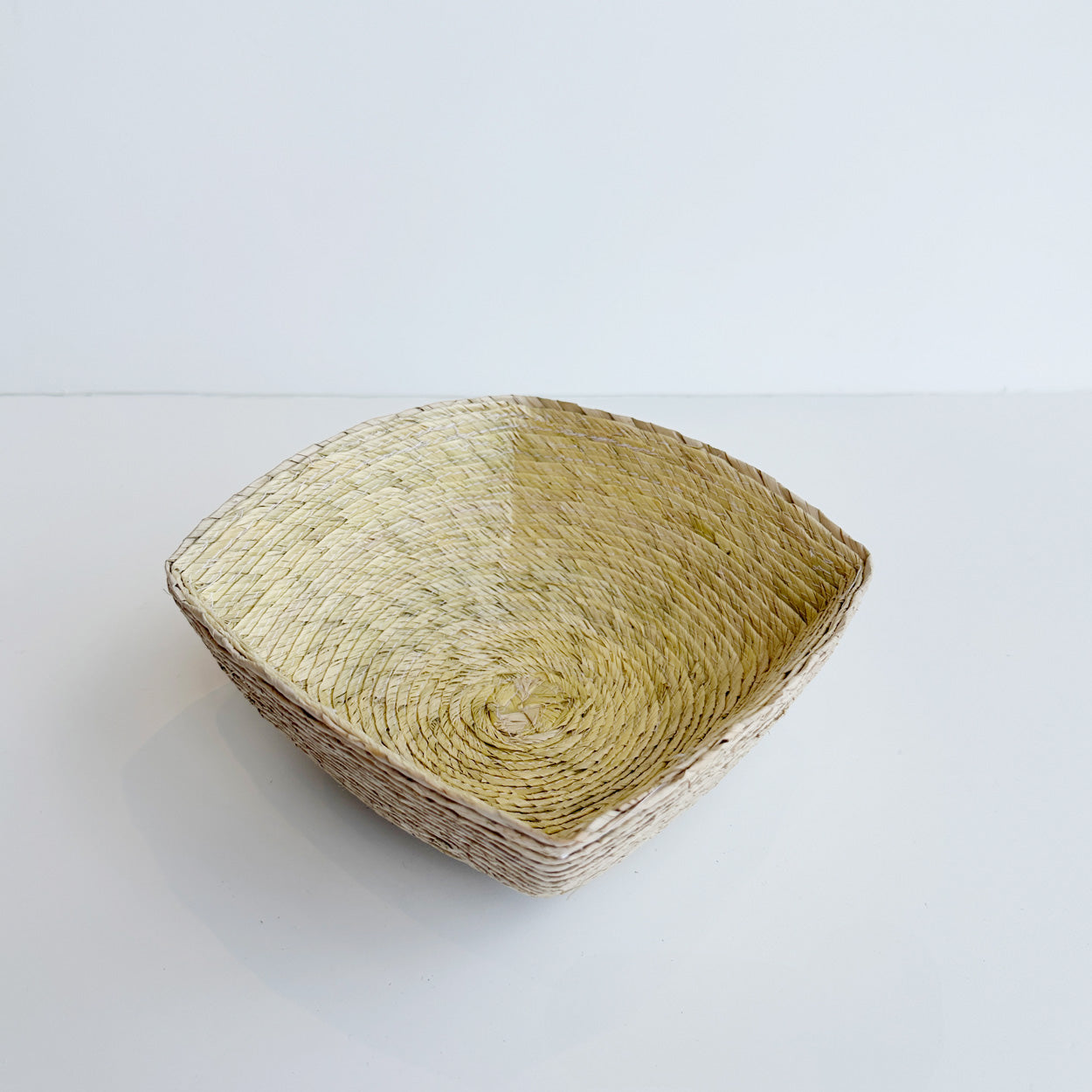 Small Palm Catchall Basket - Arena