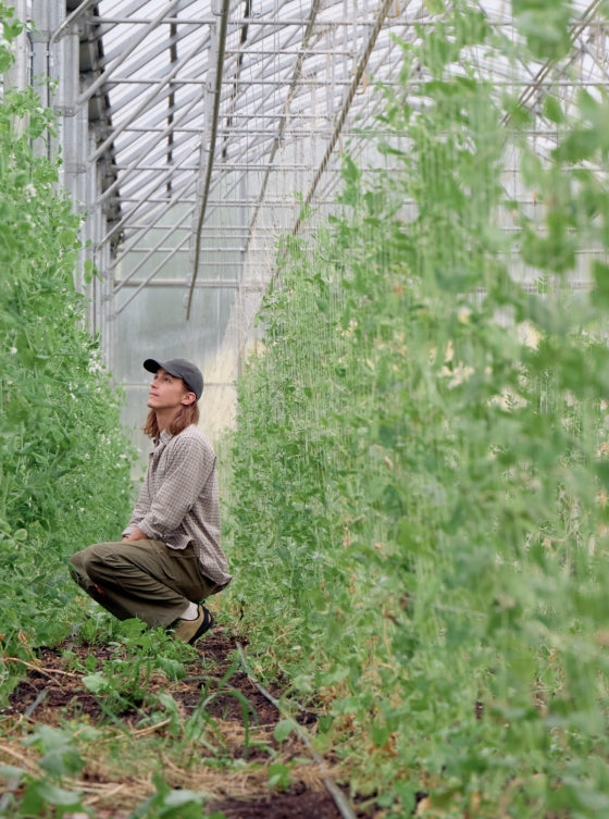 Every Leaf, Every Stem