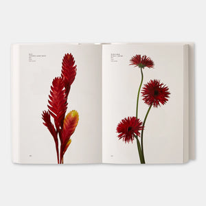 Flower Color Guide Book