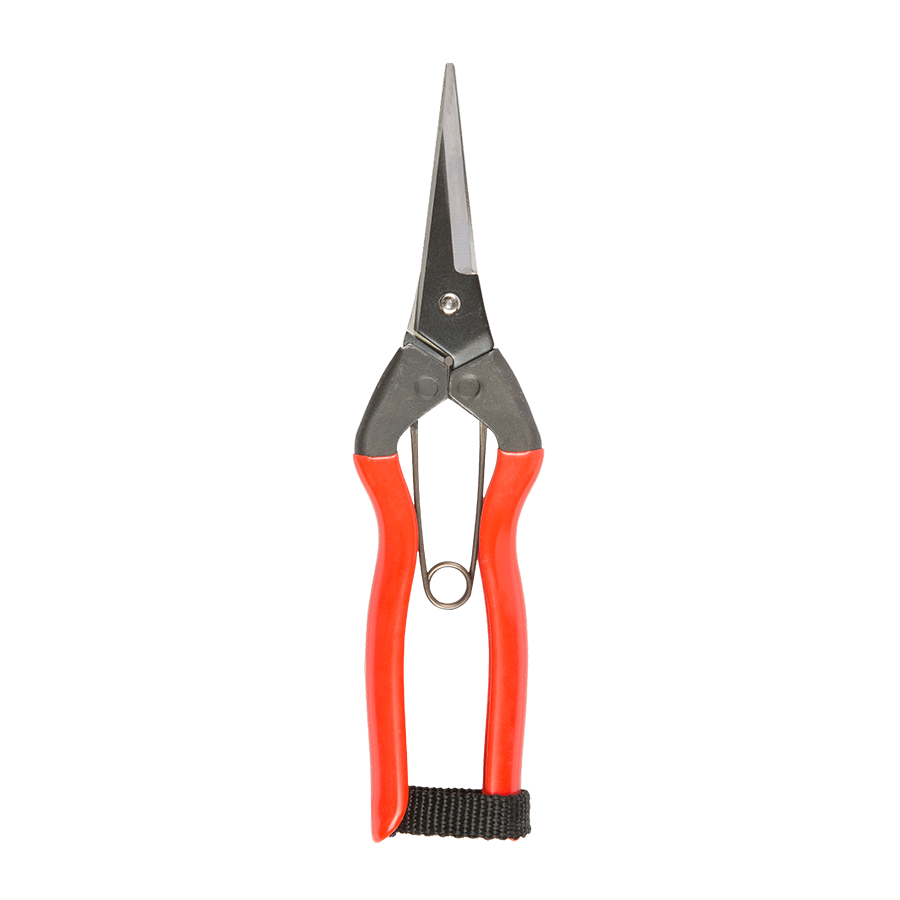Niwaki Garden Snips - KESTREL