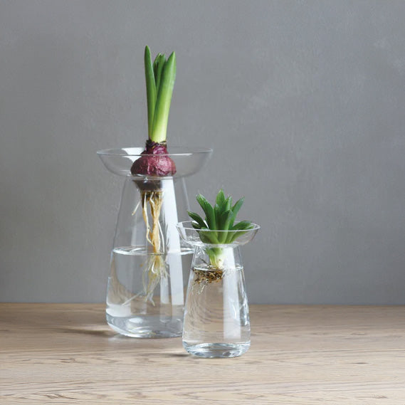 Vulp Vase Glass Bulb Vase - KESTREL