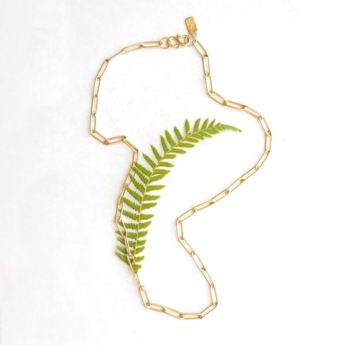 Petite Bambu Chain Necklace - 20"