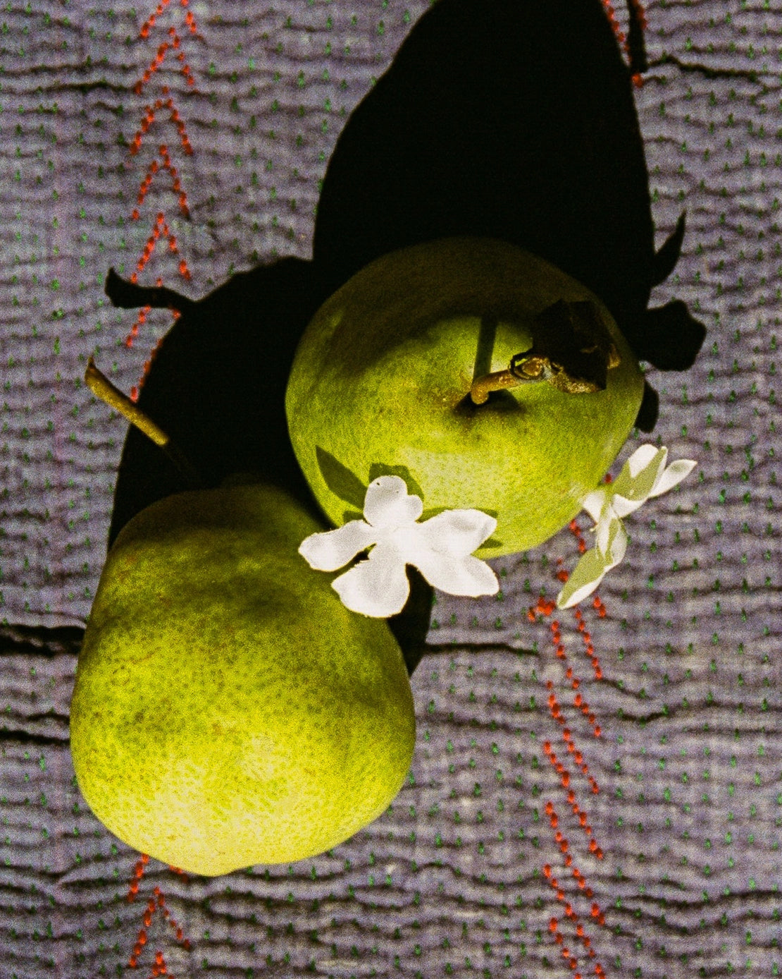Raazi Tea - Jasmine