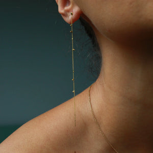 18k Gold Dust Dangle Earrings