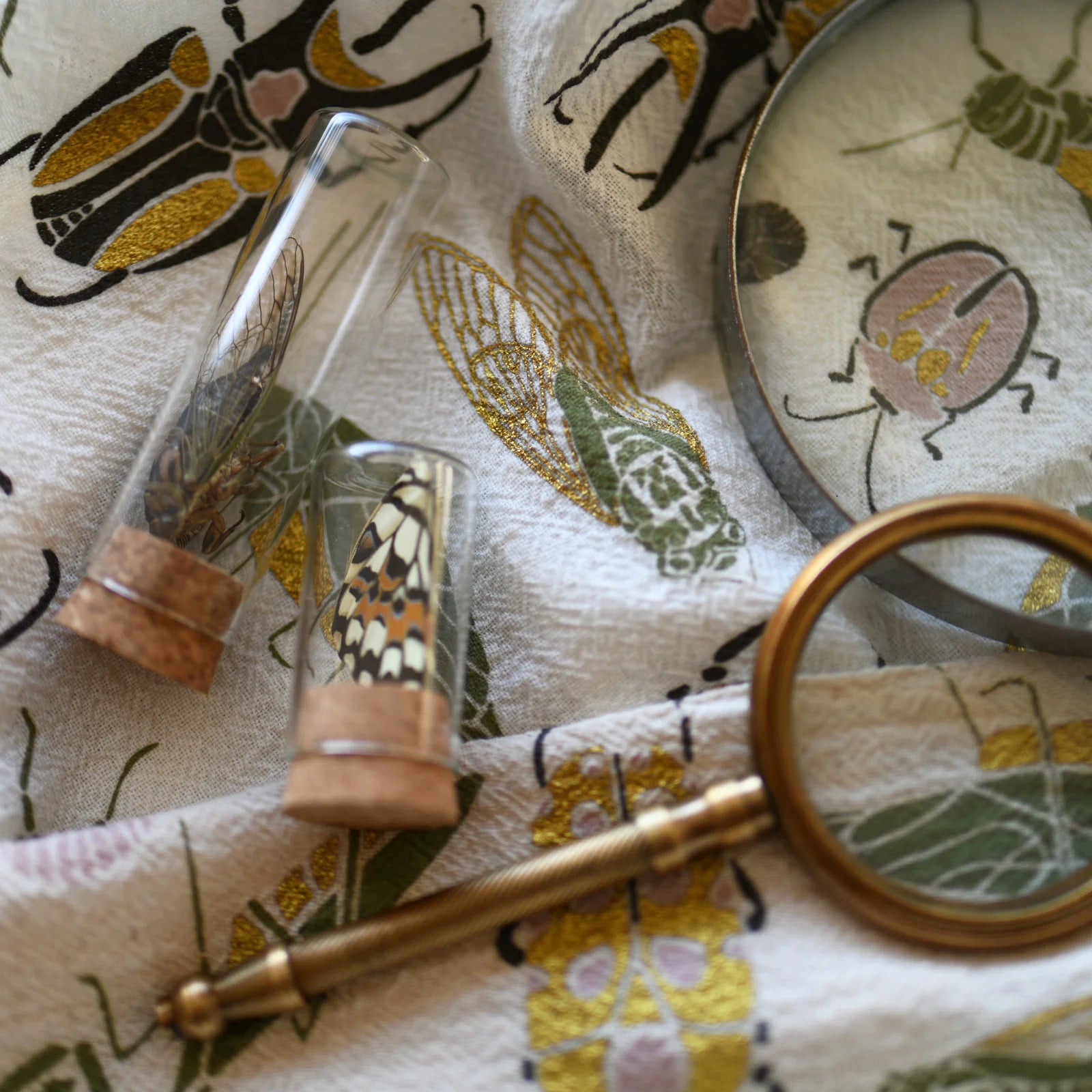 Small Wonders Tea Towel - KESTREL