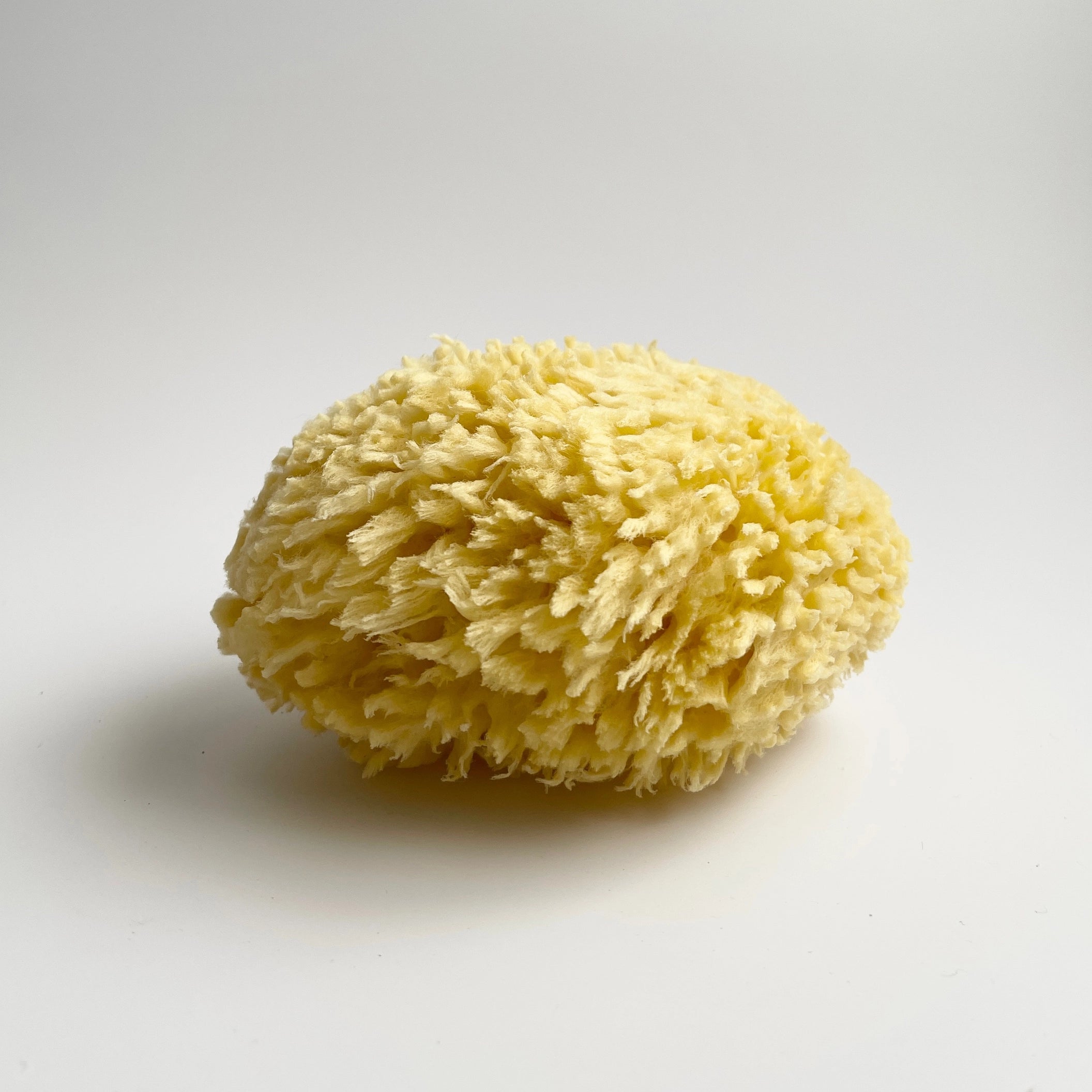 Natural Sea Sponge