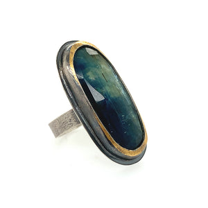Oval Bi-colored Kyanite Ring (SS/24k)