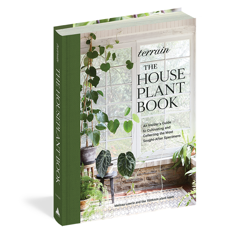 Terrain - The Houseplant Book